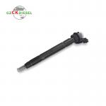 Common Rail Fuel Injector 0445117040 0445117043 for Engine