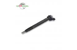 China Common Rail Fuel Injector 0445117040 0445117043 for Engine supplier