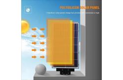 China 100w All In One Solar Street Light IP65 Waterproof Integrated Solar Street Lamps supplier