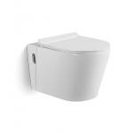Ceramic Wall Hung Rimless Toilet with Concealed Cistern for sale
