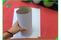 China Grade A Offset Printing Paper 200 - 450g Coated Duplex Board In Roll supplier