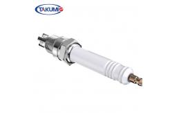 China Jenbacher 420 Generator R10P3 Industrial Spark Plug supplier