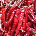 Food Additive Dried Red Chilies Paprika Peppers 16% Moisture Smoky And Sweet for sale