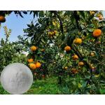 China Citrus Aurantium Extract Neohesperidin Dihydrochalcone Powder 96% NHDC for sale