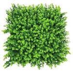 PE Polyethylene Outdoor Artificial Wall Grass Durable Eco Friendly For Room And Shops Decoration for sale
