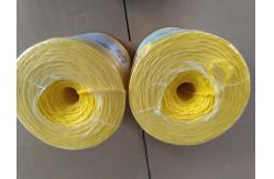 China 2mm Polyprolylene Pp Twine 400m/Kg 1600m Banana And Fishing supplier