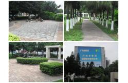 China Fine Luxury Scented Banana Lily Candle Fragrances For Long Lasting Candle Making supplier