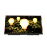 VVX13F009G00 540 cd/m2 16.7M 72%sRGB LCD Display Screen Panel for sale