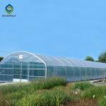 Galvanized Steel Hoop Style Greenhouse Single Span Tunnel Strawberry Greenhouse for sale