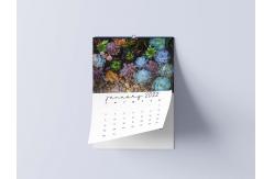China Matte Lamination Desk Calendar Printing 600-1000gsm Monthly Wall Calendars supplier