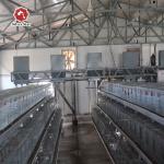 Smooth Mesh Baby Chick Cage Wire Mesh A Frame Chicken Cage for sale