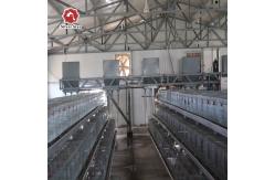 China Smooth Mesh Baby Chick Cage Wire Mesh A Frame Chicken Cage supplier