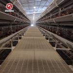 Meat Chicken Farm Used Automatic Broiler Chicken Cage 272 Birds for sale