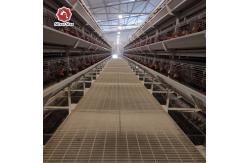 China High Brood Survival Rate Layer Chicken Cage Broiler Cage For Little Chick supplier