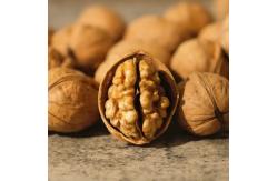 China Chinese Wholesale Yunnan Walnuts With Dark Kernels Prices Raw In Shell Dried Nuts supplier
