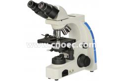 China 40X 100X Learning Compound Optical Microscope Halogen Illumination Microscopes A12.2702 supplier