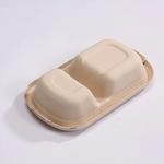 Eco Friendly Compostable Sugarcane Container 1000ml 2 Compartment Takeaway Containers
