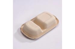 China Eco Friendly Compostable Sugarcane Container 1000ml 2 Compartment Takeaway Containers supplier