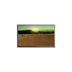 TLX-1013-E0 4.8 inch 168*128 TFT-LCD Screen Display for sale