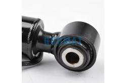 China A2213205613 Mercedes Benz S-Class W221 Rear Right Air Shock Absorber supplier