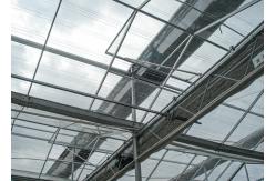 China Sturdy Structure, Adjustable Climate VENLO Glass Greenhouses For Strawberry & Flower Cultivation supplier