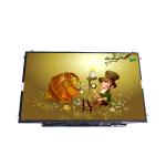 Hot Sell 15.4 inch B154SW02 V0 262K 40 pins TFT LCD Panel for sale
