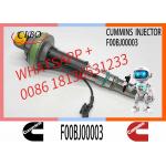 Engineering Machinery QSK19 Truck Engine System Accessories F00BJ00003 Diesel Fuel Injector for sale