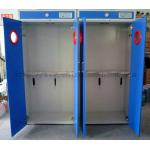 Alkali Resistant Flammable Gas Storage Cabinet Practical Multipurpose for sale