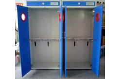 China Alkali Resistant Flammable Gas Storage Cabinet Practical Multipurpose supplier