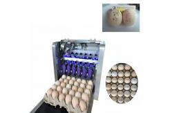China 600DPI High Resolution Egg Inkjet Batch Coding Machine For Bar Code / Logo supplier
