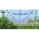 HDPE Anti Hail Net Agricultural Anti Hail Mesh Customized Anti Bee for sale