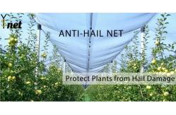 China HDPE Anti Hail Net Agricultural Anti Hail Mesh Customized Anti Bee supplier