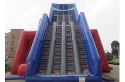 China Custom Giant Inflatable Slide With Lovely Theme Hand Painting supplier