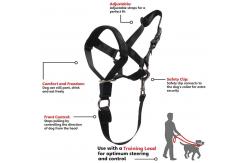 China Dog over the nose dog lead Head Collar Halter with Safety Strap supplier