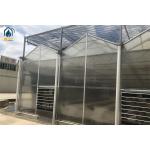 Organic Crop Farming Polycarbonate Greenhouse Indoor Vegetable Greenhouse for sale