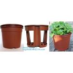 Hydroponic Growing Pot Bato bucket for Greenhouse ,dutch bato bucket,plastic flower nursery pots,balcony garden three pe for sale