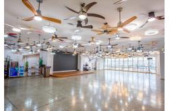 China Color Changing Ceiling Fan manufacturer
