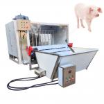 Pig Slaughter Machine Pig Slaughter Line Pig Slaughter Pig Scalding And Dehairing Machine for sale