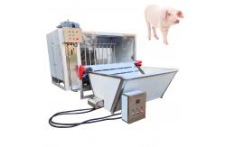 China Pig Slaughter Machine Pig Slaughter Line Pig Slaughter Pig Scalding And Dehairing Machine supplier