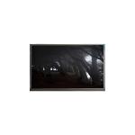 AMS320FH01-0 3.2 inch TFT LCD Screen 240*400 LCD Panel Module for sale
