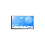 10.1 inch F101A29-603 1200*1920 LCD Panel Screen for sale