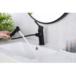 T&F Polished Bathroom Faucet With Pull Down Sprayer Surface Mounted