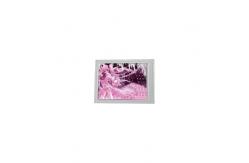 China F055A15-6T1 5.5 inch 720*1280 LCD Screen Display Panel supplier