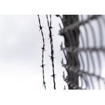 Farm Protection Anti Climb Single Strand PVC Coated Iron Barbed Wire for sale