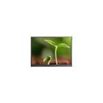 F070A49-6T1 7.0 inch LCD Screen Panel for Pad Tablet for sale