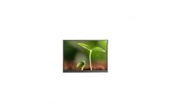 China F070A49-6T1 7.0 inch LCD Screen Panel for Pad Tablet supplier