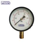 100mm Bourdon Tube Manometer Carbon Steel General Pressure Gauge