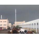 Lte Platform Type Single Pole Mobile Cell Tower for sale