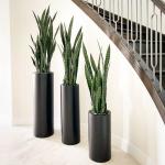 Get the Best Deals on Durable and Stylish Fiberglass Flower Pots for Your Garden for sale