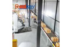 China Easy Integration Automated Warehouse Conveyor Systems For Manufacturing Industry supplier